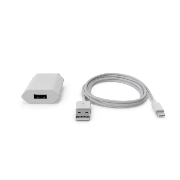 Apple iPhone Charger