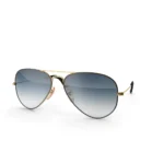 Classic Sun Glasses 2