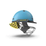 Cricket Helmet 3
