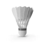 Feather Shuttlecock 2